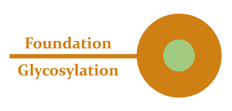 Foundation Glycosylation