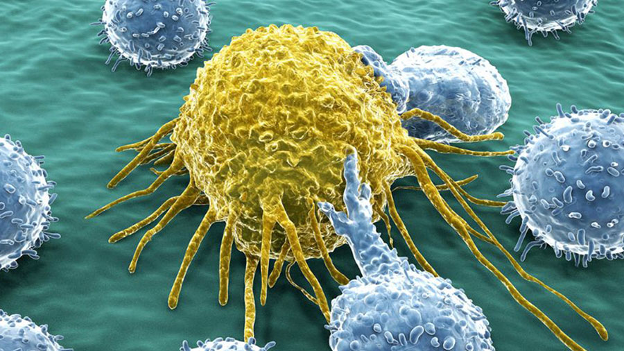 Cancer biology image