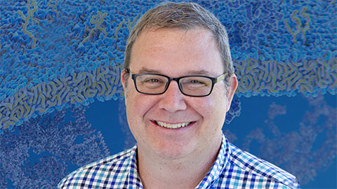 Tansey named department chair