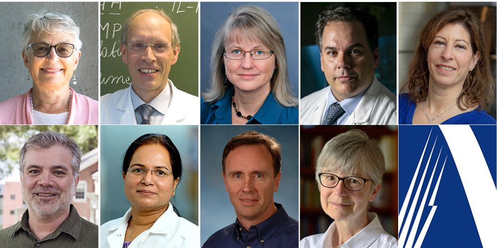 AAAS names fellows