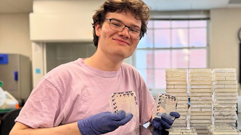 Summer research spotlight