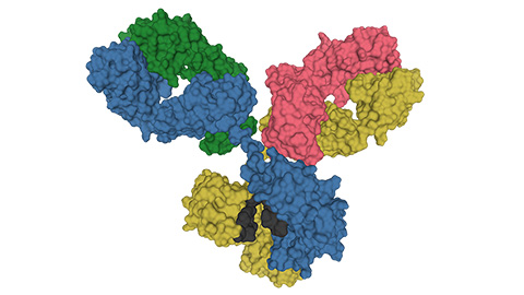 Glycosylation patterns across antibody isotypes distinguish tuberculosis states