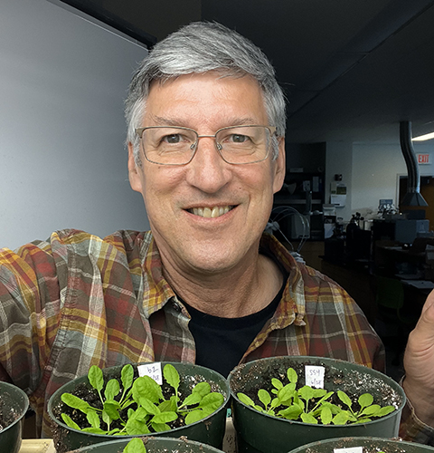 Jonathan Monroe in the lab at James Madison University with some of his Arabidopsis plants.