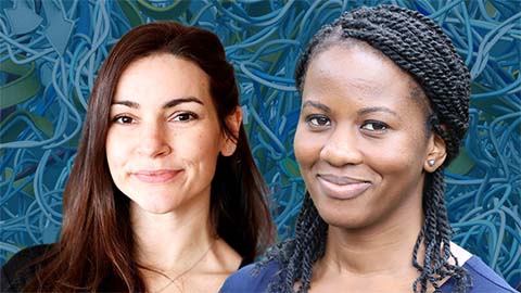 Del Mármol, Okafor named 2026 Sloan Research Fellows