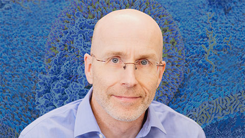 Fasting, fat and the molecular switches that keep us alive