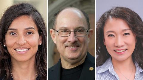 Pernas named fellow; Heitman and Wu elected to NAM