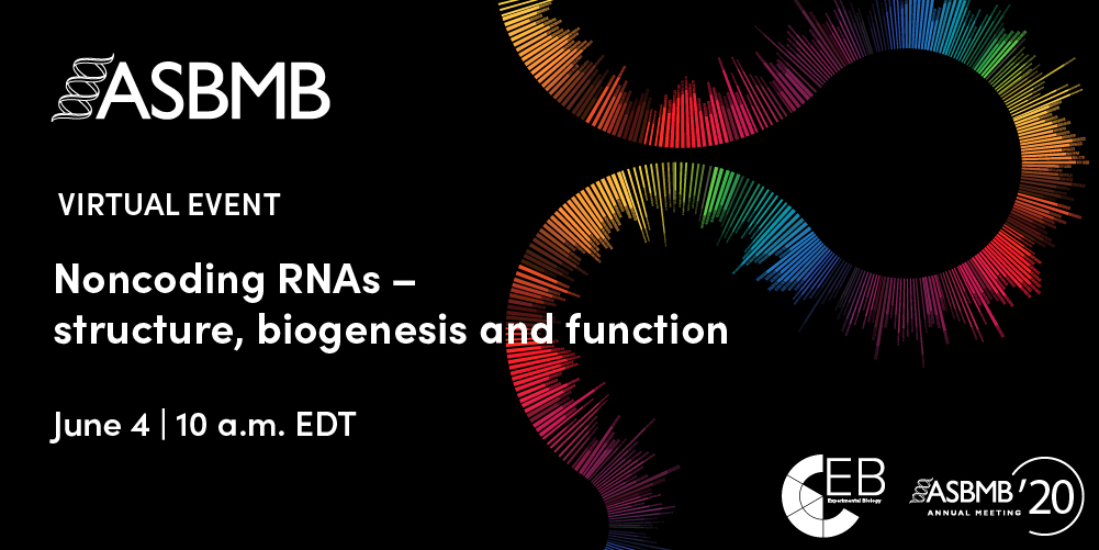 Noncoding RNAs — structure, biogenesis and function