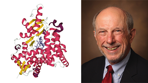 Guengerich proposes a paradigm shift in enzyme biochemistry