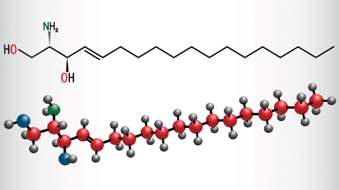 Sphingolipid secrets of wound healing