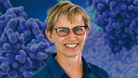 Kiessling wins glycobiology award