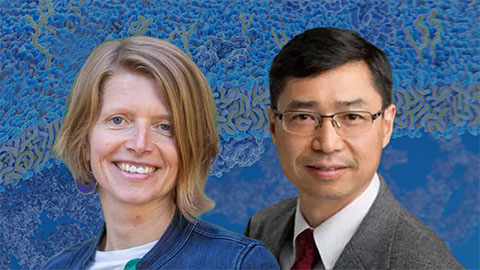 Huttenhain, Peng win HUPO awards