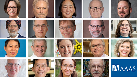 AAAS announces 2021 fellows