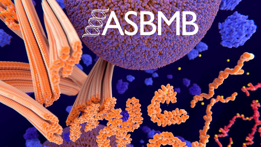 ASBMB Council: Fall roundup