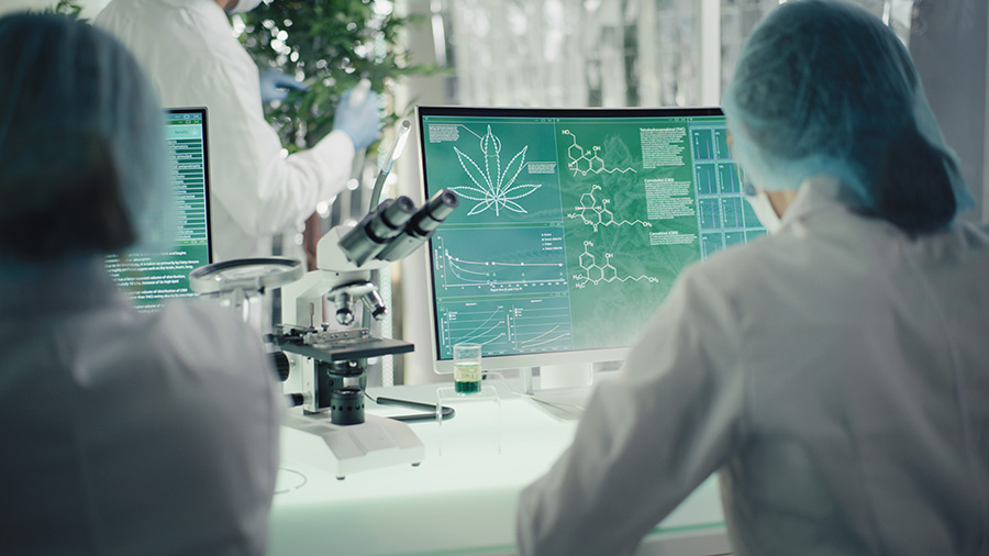 The molecular biology of commercial cannabis testing