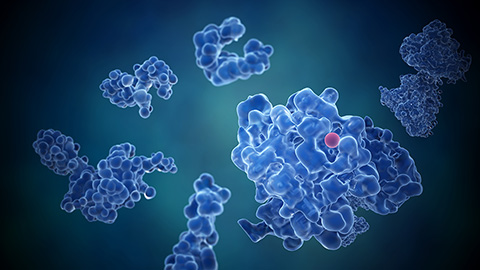 A p-value for proteins