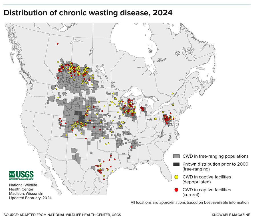 Once restricted to a handful of counties in Colorado and Wyoming, chronic wasting disease has spread to 32 states and several Canadian provinces, where it affects both wild and farmed deer populations.