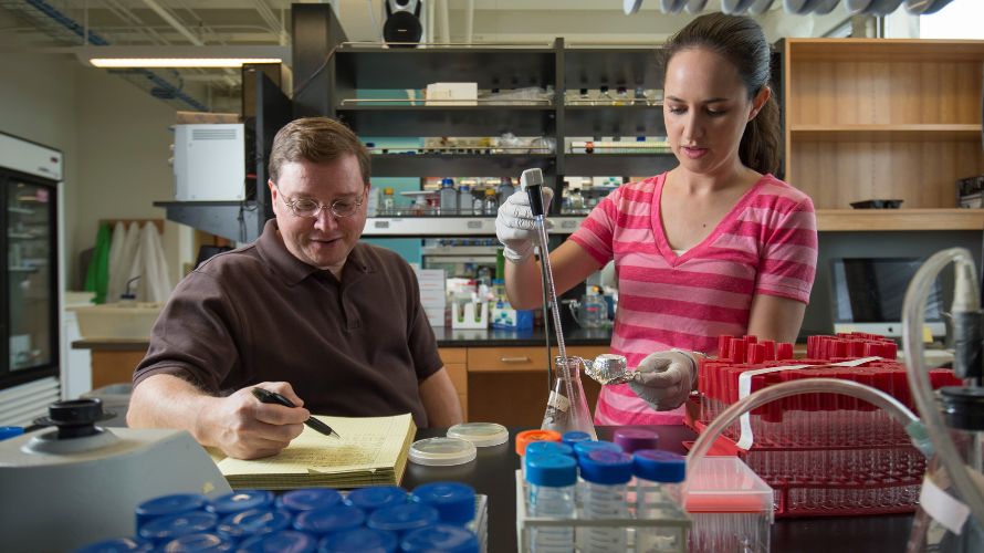 Joseph Jez, a professor of biology at Washington University in St. Louis, and Ashley Sherp, a former Ph.D. student in the Jez lab, work together on understanding metabolic regulatory networks and environmental responses in plants