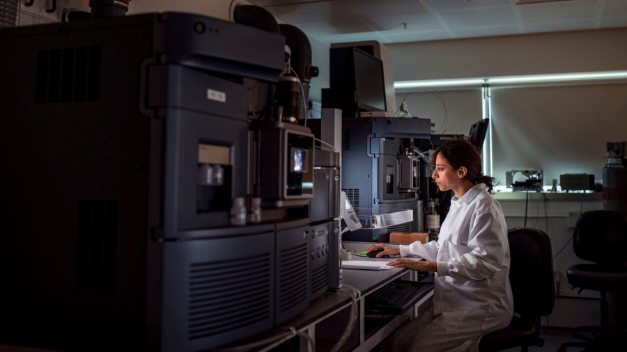 Upcoming opportunities