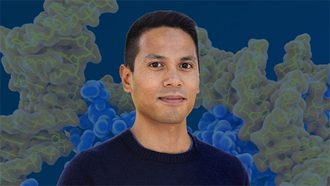 Nuñez receives Vallee Scholar Award