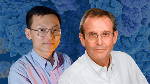 Garcia–Blanco, Li elected to VASEM