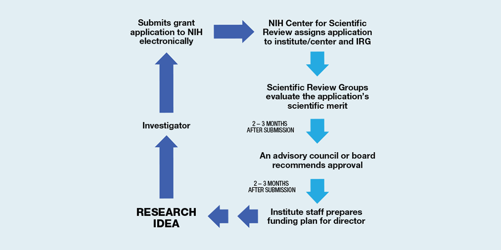 Nih Grant Deadlines 2024 - Terza Michal