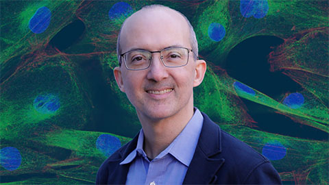 The data that did not fit