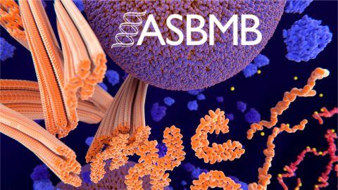 ASBMB Council roundup: February 2025 