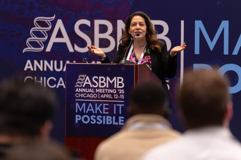 Upcoming opportunities