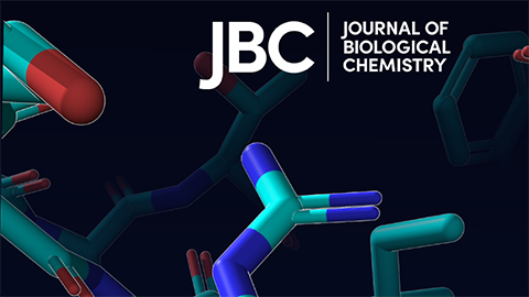 JBC seeks new editor-in-chief