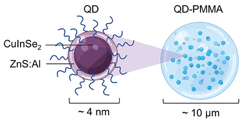 Schematic of the nanoparticle quantum dots with a copper, indium and sulfur core surrounded by a zinc-sulfur shell, all encapsulated in the polymer, poly(methyl methacrylate).