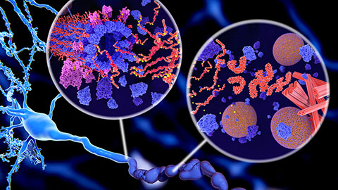 Catching tau in the act