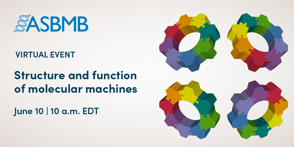 Structure And Function Of Molecular Machines