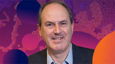 Defining JNKs: Targets for drug discovery