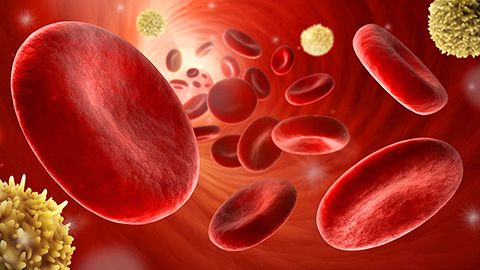 Serum lipids may predict early diabetes risk