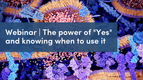 Upcoming opportunities