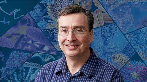 Unraveling the language of histones