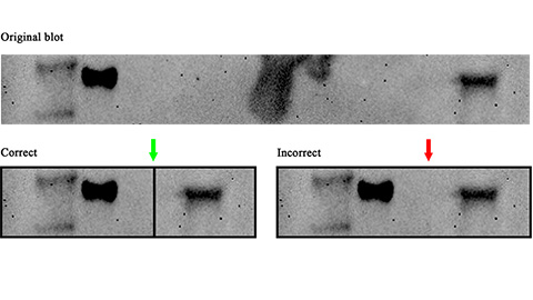 Avoiding common figure errors in manuscript submissions