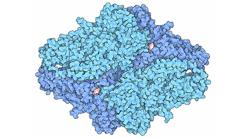 Laser-assisted cryoEM method preserves protein structure
